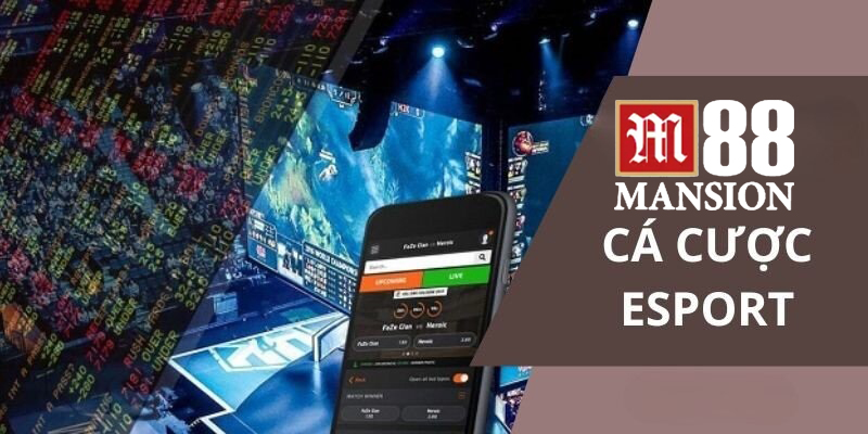 rèn luyện bản lĩnh cá cược esports M88